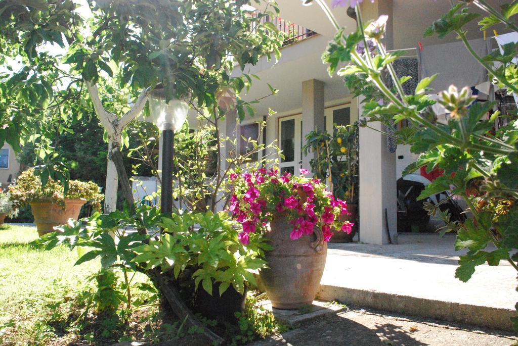 Garden's House Villa Pietrasanta Buitenkant foto